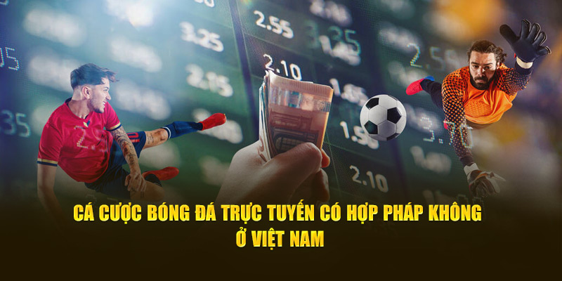 Ở Việt Nam cá cược bóng đá trực tuyến có hợp pháp không? 
