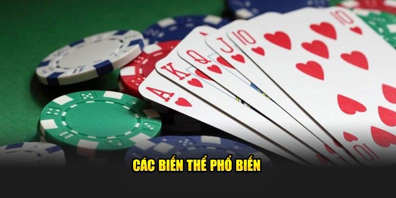 Các biến thể phổ biến
