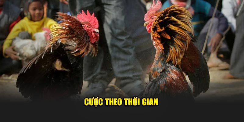 Cược theo thời gian
