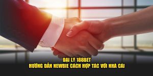 Đại Lý 188bet - Hướng Dẫn Newbie Cách Hợp Tác Với Nhà Cái