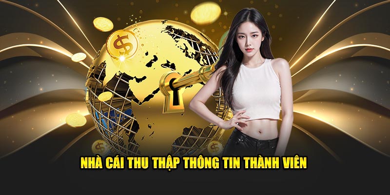 Nhà cái thu thập các loại thông tin của thành viên
