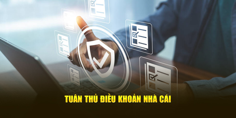 Thực hiện đầy đủ điều khoản nhà cái
